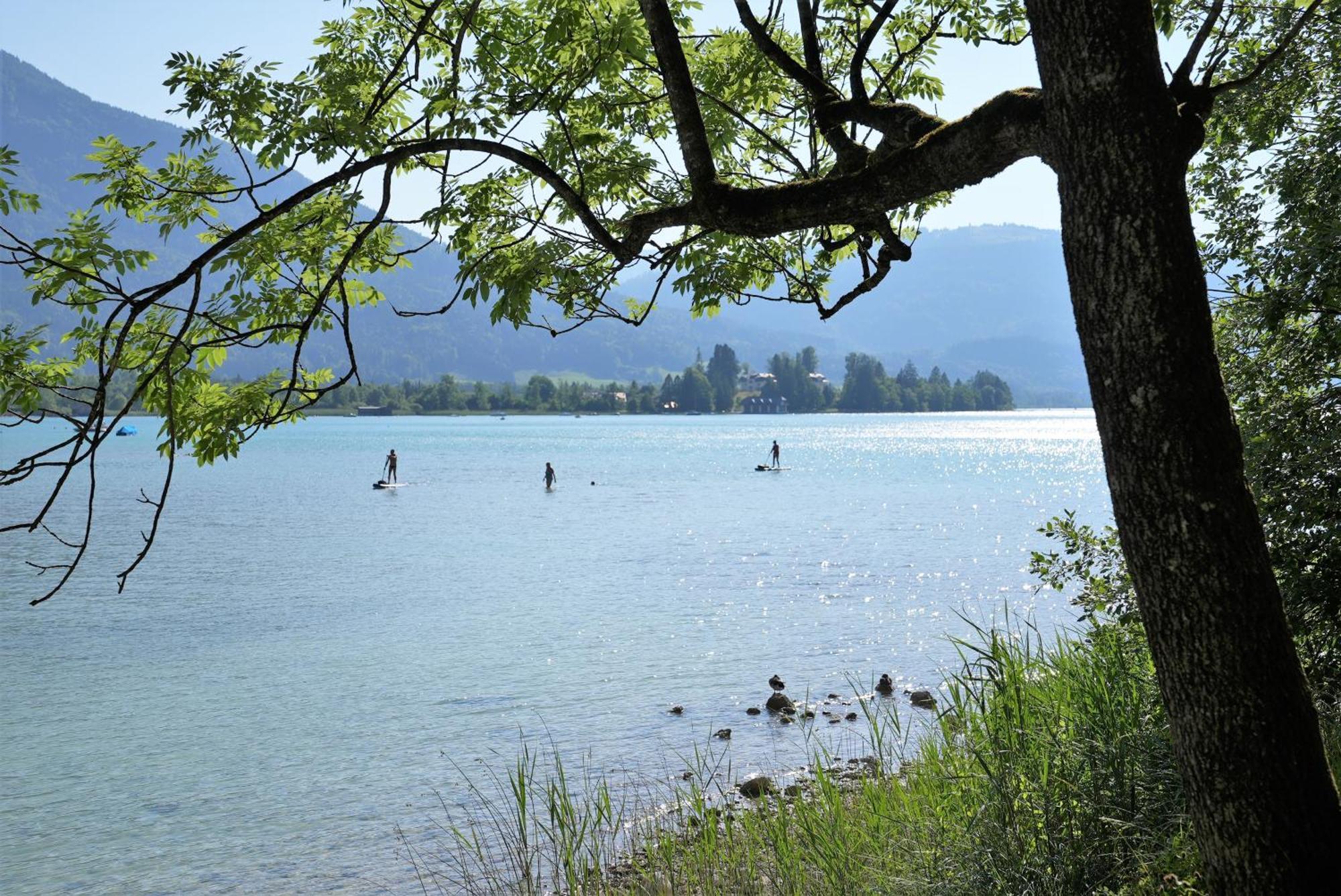 Bergblick 411 Am Wolfgangsee Strobl Room photo