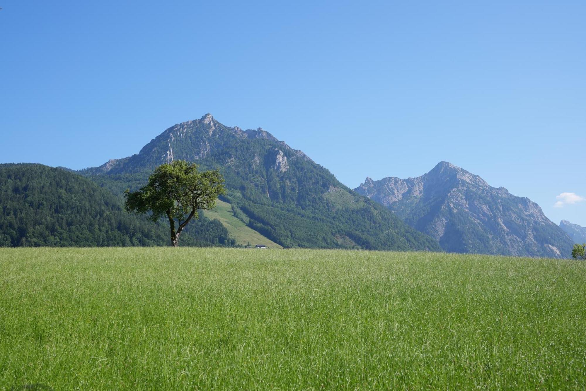 Bergblick 411 Am Wolfgangsee Strobl Room photo